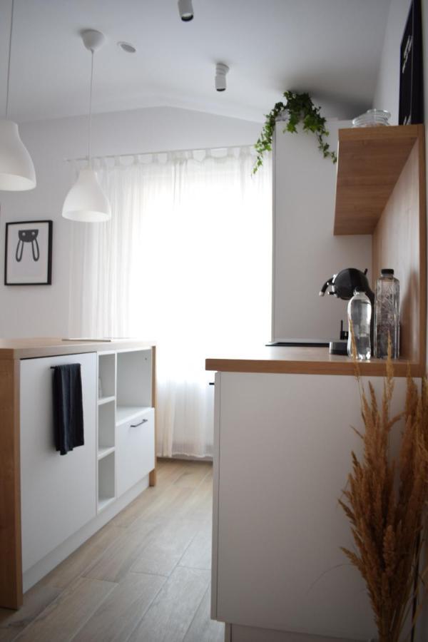 Voya Nordic Apartment-A Luxury Oasis In The Old Town Braşov Extérieur photo